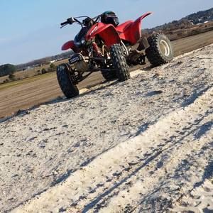 Meet your Posher, Brady